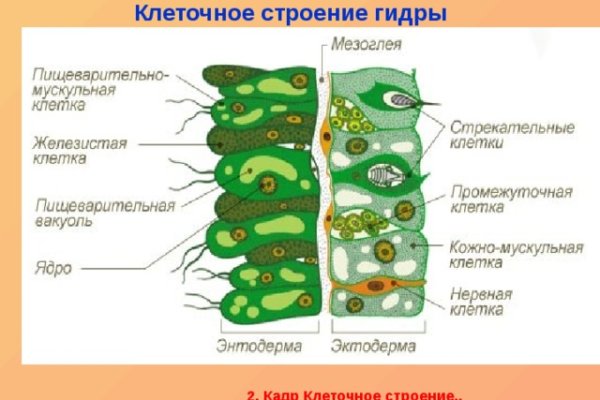 Почему кракен не блокируют