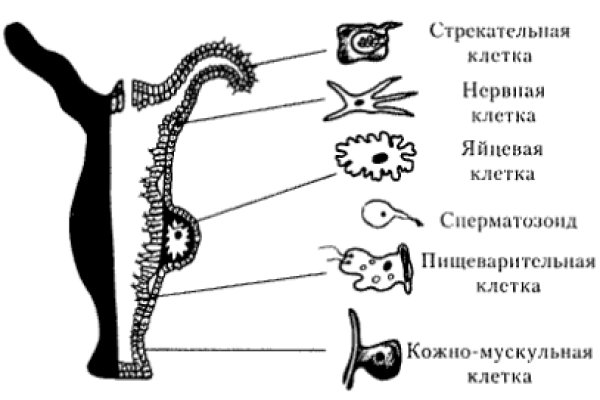 Ссылка кракен kr2web in