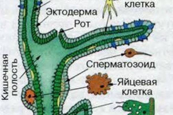 Сайт кракен не работает почему